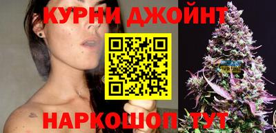 индика Рыбинск